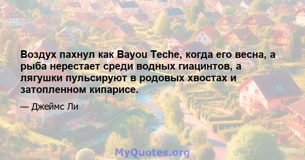 Воздух пахнул как Bayou Teche, когда его весна, а рыба нерестает среди водных гиацинтов, а лягушки пульсируют в родовых хвостах и ​​затопленном кипарисе.