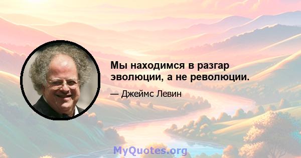 Мы находимся в разгар эволюции, а не революции.