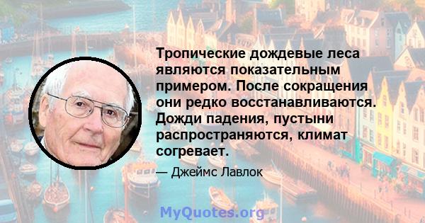 Тропические дождевые леса являются показательным примером. После сокращения они редко восстанавливаются. Дожди падения, пустыни распространяются, климат согревает.