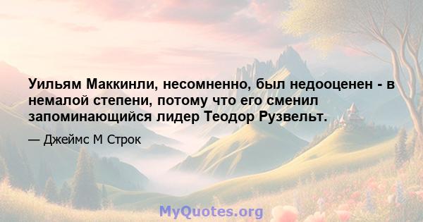 Уильям Маккинли, несомненно, был недооценен - ​​в немалой степени, потому что его сменил запоминающийся лидер Теодор Рузвельт.