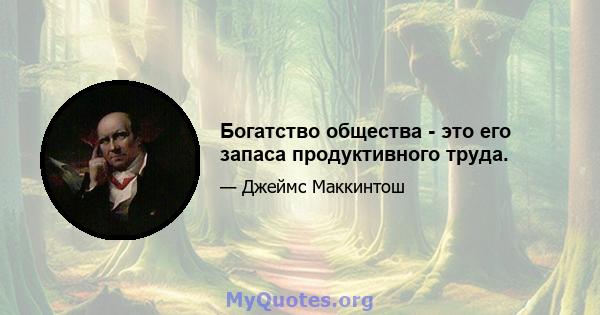 Богатство общества - это его запаса продуктивного труда.