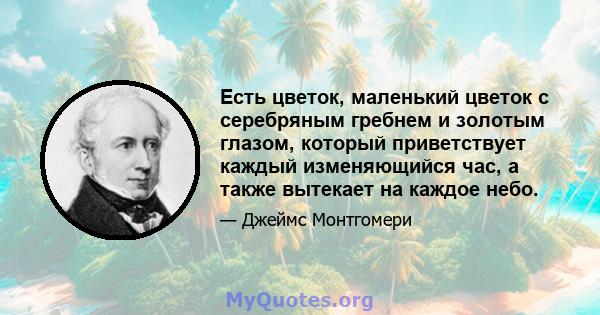 Есть цветок, маленький цветок с серебряным гребнем и золотым глазом, который приветствует каждый изменяющийся час, а также вытекает на каждое небо.