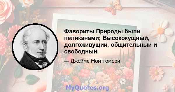 Фавориты Природы были пеликанами; Высококущный, долгоживущий, общительный и свободный.