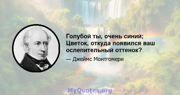 Голубой ты, очень синий; Цветок, откуда появился ваш ослепительный оттенок?