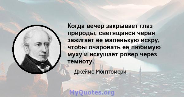 Когда вечер закрывает глаз природы, светящаяся червя зажигает ее маленькую искру, чтобы очаровать ее любимую муху и искушает ровер через темноту.