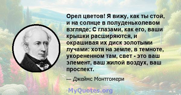 Орел цветов! Я вижу, как ты стой, и на солнце в полуденьколевом взгляде; С глазами, как его, ваши крышки расширяются, и окрашивая их диск золотыми лучами: хотя на земле, в темноте, укорененном там, свет - это ваш