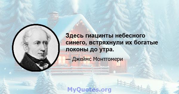 Здесь гиацинты небесного синего, встряхнули их богатые локоны до утра.