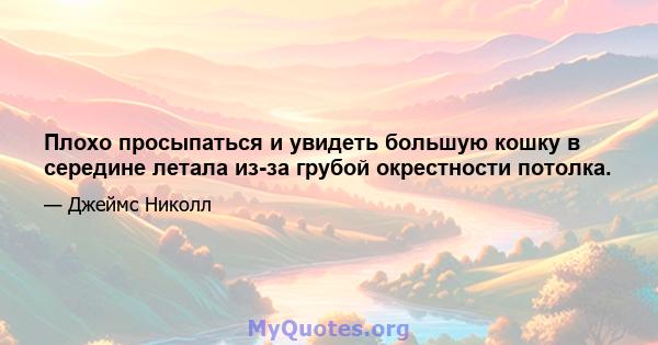 Плохо просыпаться и увидеть большую кошку в середине летала из-за грубой окрестности потолка.