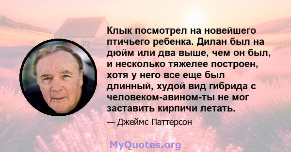 Клык посмотрел на новейшего птичьего ребенка. Дилан был на дюйм или два выше, чем он был, и несколько тяжелее построен, хотя у него все еще был длинный, худой вид гибрида с человеком-авином-ты не мог заставить кирпичи