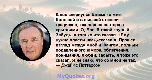 Клык свернулся ближе ко мне, большой и в высшей степени грациозно, как черная пантера с крыльями. О, Бог. Я такой глупый. Забудь, я только что сказал. «Ему нужна пластышка»,-сказал я. Прошел взгляд между мной и Фангом,