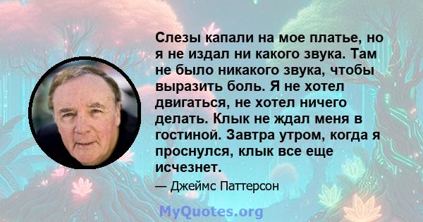 Слезы капали на мое платье, но я не издал ни какого звука. Там не было никакого звука, чтобы выразить боль. Я не хотел двигаться, не хотел ничего делать. Клык не ждал меня в гостиной. Завтра утром, когда я проснулся,