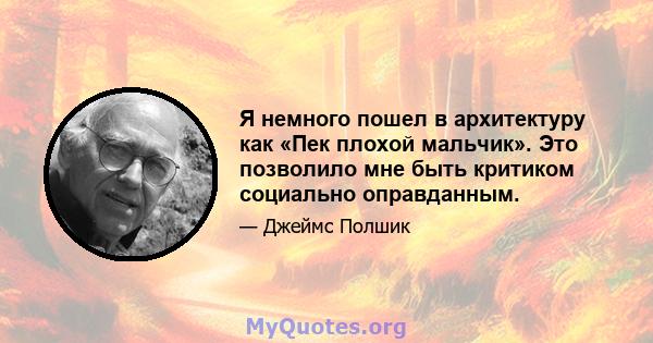 Я немного пошел в архитектуру как «Пек плохой мальчик». Это позволило мне быть критиком социально оправданным.