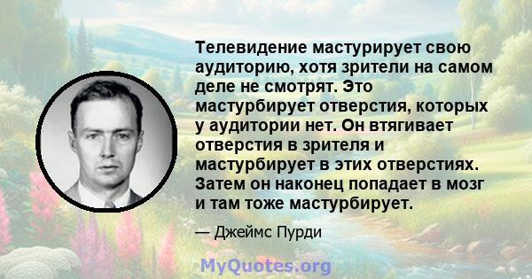 Телевидение мастурирует свою аудиторию, хотя зрители на самом деле не смотрят. Это мастурбирует отверстия, которых у аудитории нет. Он втягивает отверстия в зрителя и мастурбирует в этих отверстиях. Затем он наконец