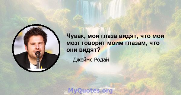 Чувак, мои глаза видят, что мой мозг говорит моим глазам, что они видят?