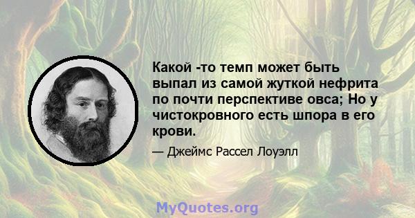 Какой -то темп может быть выпал из самой жуткой нефрита по почти перспективе овса; Но у чистокровного есть шпора в его крови.