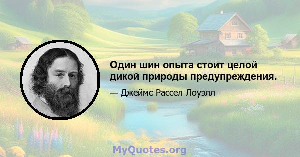 Один шин опыта стоит целой дикой природы предупреждения.