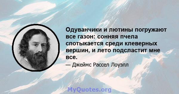 Одуванчики и лютины погружают все газон: сонняя пчела спотыкается среди клеверных вершин, и лето подсластит мне все.