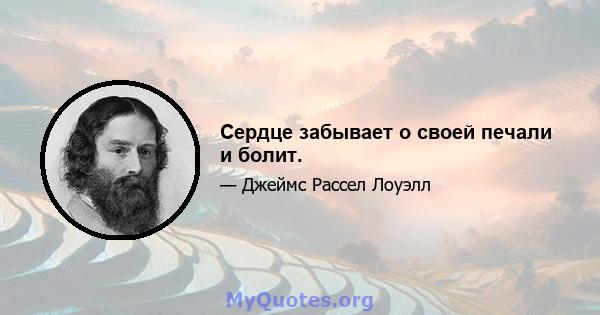 Сердце забывает о своей печали и болит.