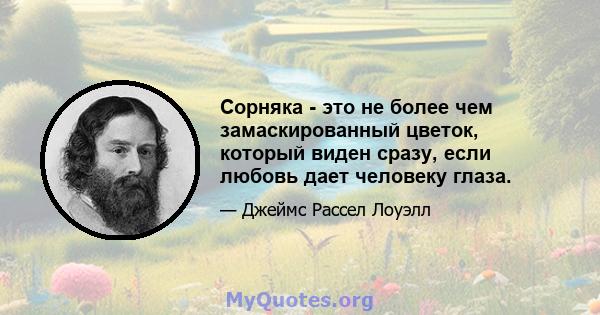 Сорняка - это не более чем замаскированный цветок, который виден сразу, если любовь дает человеку глаза.