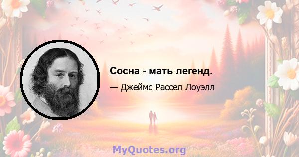 Сосна - мать легенд.