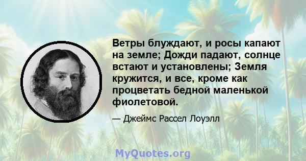 Ветры блуждают, и росы капают на земле; Дожди падают, солнце встают и установлены; Земля кружится, и все, кроме как процветать бедной маленькой фиолетовой.