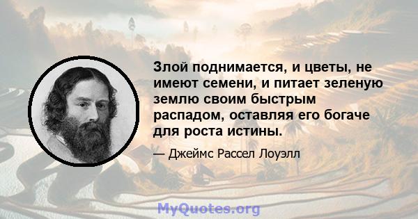 Злой поднимается, и цветы, не имеют семени, и питает зеленую землю своим быстрым распадом, оставляя его богаче для роста истины.