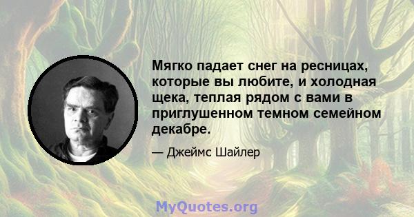 Мягко падает снег на ресницах, которые вы любите, и холодная щека, теплая рядом с вами в приглушенном темном семейном декабре.