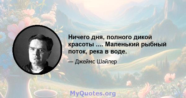 Ничего дня, полного дикой красоты .... Маленький рыбный поток, река в воде.