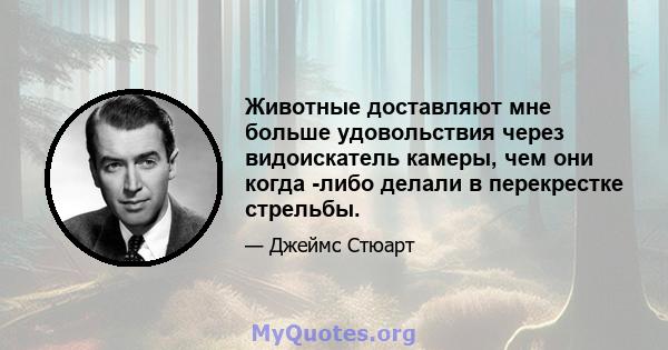 Животные доставляют мне больше удовольствия через видоискатель камеры, чем они когда -либо делали в перекрестке стрельбы.