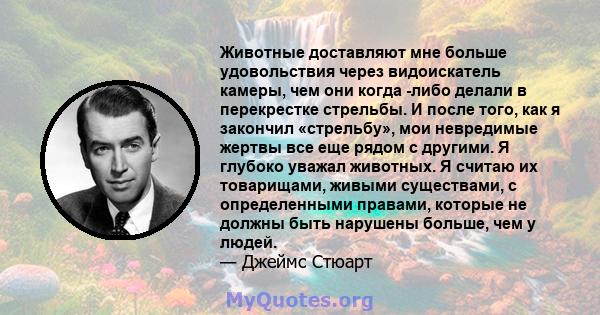 Животные доставляют мне больше удовольствия через видоискатель камеры, чем они когда -либо делали в перекрестке стрельбы. И после того, как я закончил «стрельбу», мои невредимые жертвы все еще рядом с другими. Я глубоко 