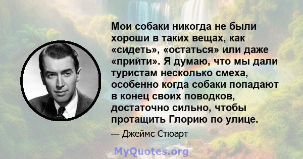 Мои собаки никогда не были хороши в таких вещах, как «сидеть», «остаться» или даже «прийти». Я думаю, что мы дали туристам несколько смеха, особенно когда собаки попадают в конец своих поводков, достаточно сильно, чтобы 