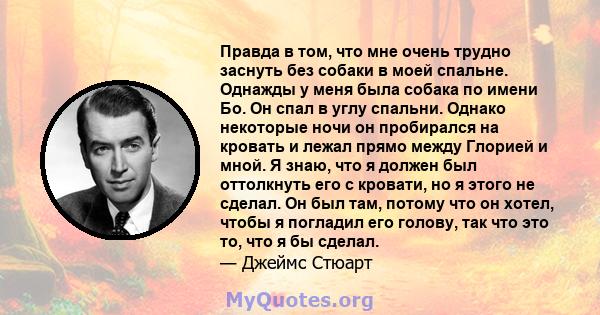 Правда в том, что мне очень трудно заснуть без собаки в моей спальне. Однажды у меня была собака по имени Бо. Он спал в углу спальни. Однако некоторые ночи он пробирался на кровать и лежал прямо между Глорией и мной. Я