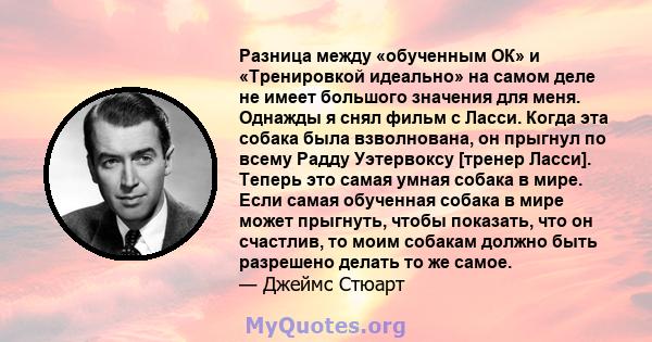 Разница между «обученным ОК» и «Тренировкой идеально» на самом деле не имеет большого значения для меня. Однажды я снял фильм с Ласси. Когда эта собака была взволнована, он прыгнул по всему Радду Уэтервоксу [тренер