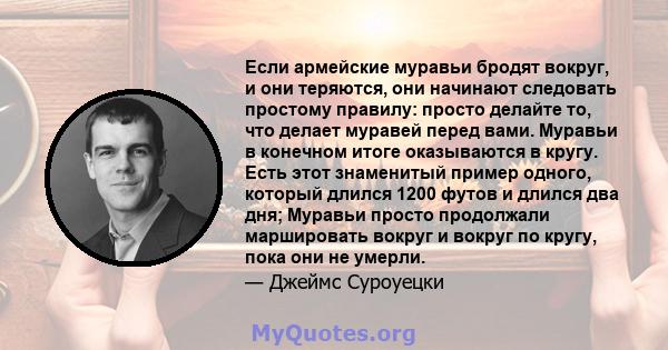 Если армейские муравьи бродят вокруг, и они теряются, они начинают следовать простому правилу: просто делайте то, что делает муравей перед вами. Муравьи в конечном итоге оказываются в кругу. Есть этот знаменитый пример