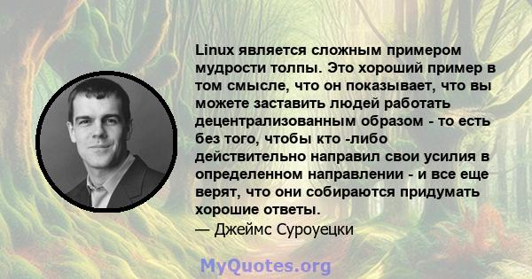 Linux является сложным примером мудрости толпы. Это хороший пример в том смысле, что он показывает, что вы можете заставить людей работать децентрализованным образом - то есть без того, чтобы кто -либо действительно