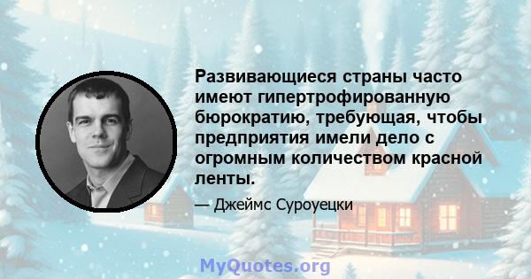 Развивающиеся страны часто имеют гипертрофированную бюрократию, требующая, чтобы предприятия имели дело с огромным количеством красной ленты.