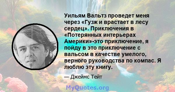 Уильям Вальтз проведет меня через «Гузж и врастает в лесу сердец». Приключения в «Потерянных интерьерах Америки»-это приключение, я пойду в это приключение с вальсом в качестве умелого, верного руководства по компас. Я