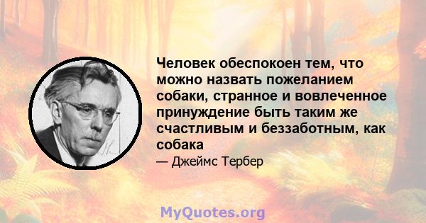 Человек обеспокоен тем, что можно назвать пожеланием собаки, странное и вовлеченное принуждение быть таким же счастливым и беззаботным, как собака