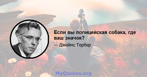 Если вы полицейская собака, где ваш значок?