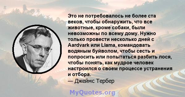 Это не потребовалось не более ста веков, чтобы обнаружить, что все животные, кроме собаки, были невозможны по всему дому. Нужно только провести несколько дней с Aardvark или Llama, командовать водяным буйволом, чтобы