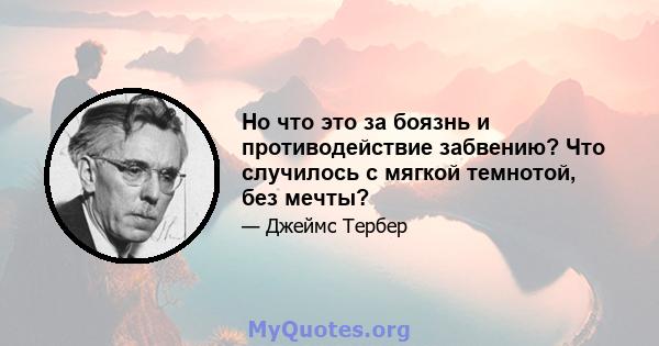 Но что это за боязнь и противодействие забвению? Что случилось с мягкой темнотой, без мечты?