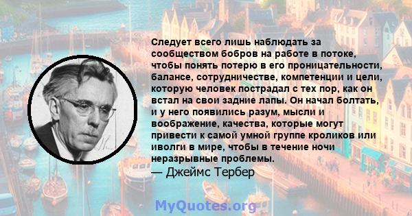 Следует всего лишь наблюдать за сообществом бобров на работе в потоке, чтобы понять потерю в его проницательности, балансе, сотрудничестве, компетенции и цели, которую человек пострадал с тех пор, как он встал на свои