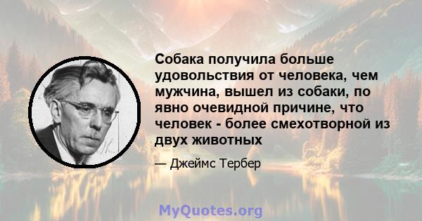 Собака получила больше удовольствия от человека, чем мужчина, вышел из собаки, по явно очевидной причине, что человек - более смехотворной из двух животных