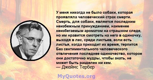 У меня никогда не было собаки, которая проявляла человеческий страх смерти. Смерть, для собаки, является последним неизбежным принуждением, наименее неизбегаемым ароматом на страшном следе, но им нравится смотреть на