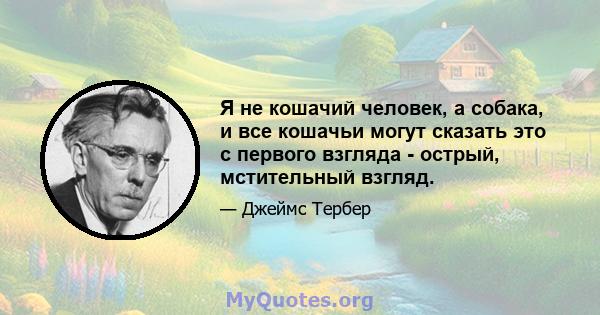 Я не кошачий человек, а собака, и все кошачьи могут сказать это с первого взгляда - острый, мстительный взгляд.