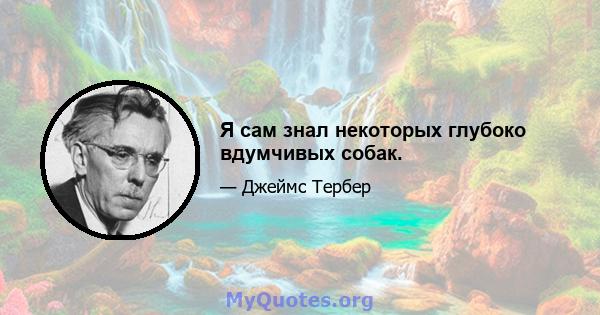 Я сам знал некоторых глубоко вдумчивых собак.