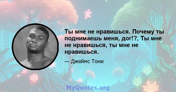 Ты мне не нравишься. Почему ты поднимаешь меня, дог!?, Ты мне не нравишься, ты мне не нравишься.