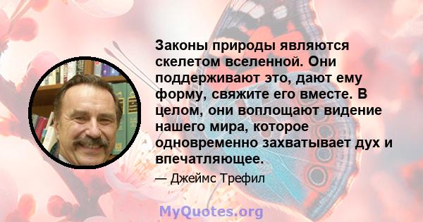 Законы природы являются скелетом вселенной. Они поддерживают это, дают ему форму, свяжите его вместе. В целом, они воплощают видение нашего мира, которое одновременно захватывает дух и впечатляющее.