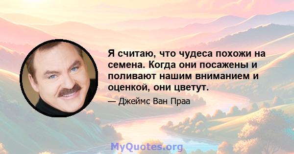 Я считаю, что чудеса похожи на семена. Когда они посажены и поливают нашим вниманием и оценкой, они цветут.