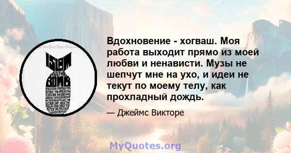 Вдохновение - хогваш. Моя работа выходит прямо из моей любви и ненависти. Музы не шепчут мне на ухо, и идеи не текут по моему телу, как прохладный дождь.